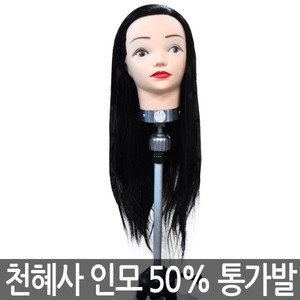[천혜사] 천혜사 통 가발 업스타일 마네킹 22인치 인모 50%